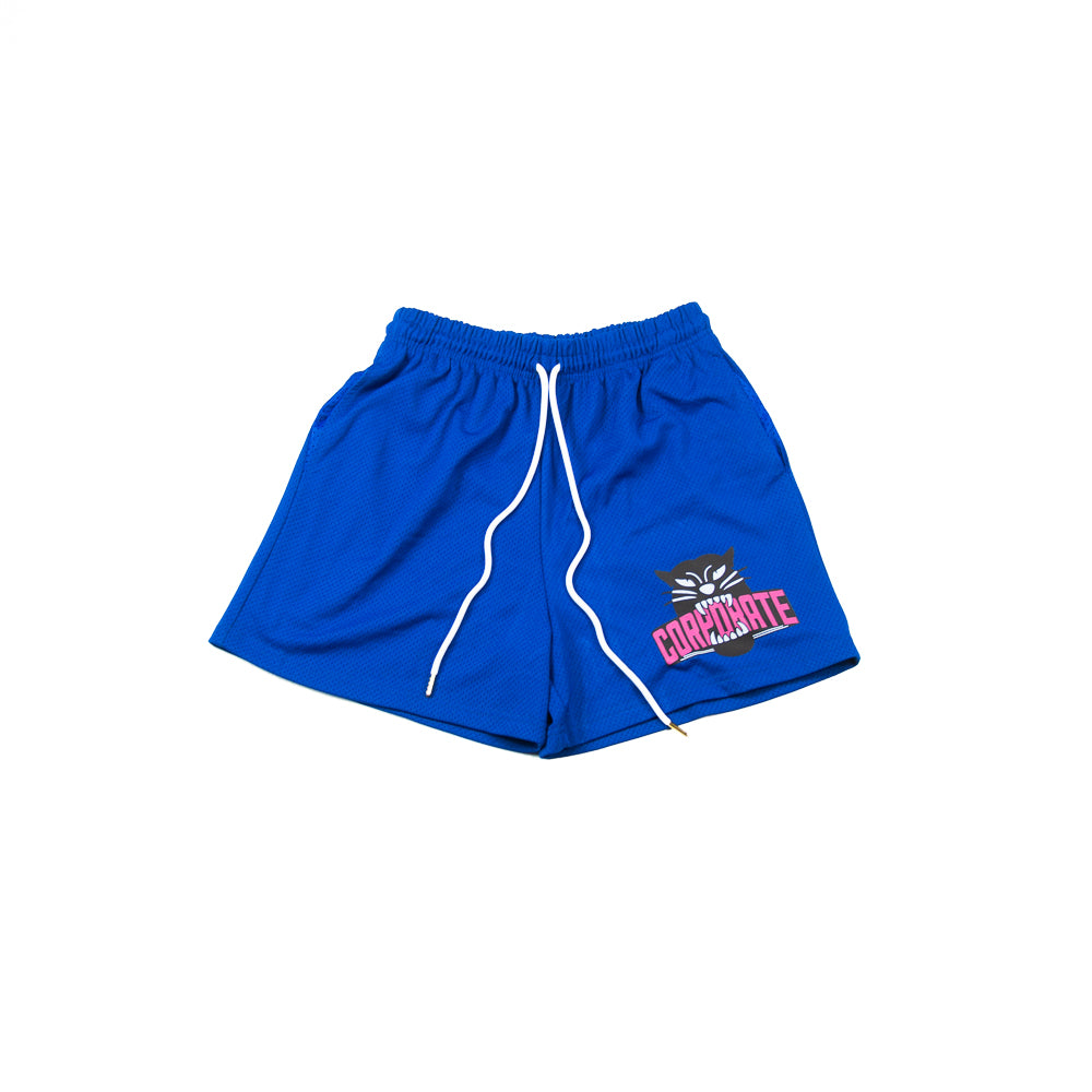 '25 Corporate Seek Shorts (Blue) - Image 2