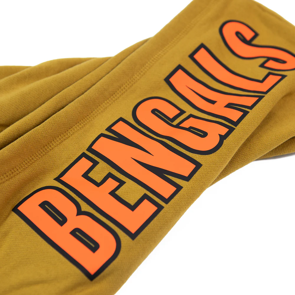 Cincinnati Bengals Dusted Collection Hoodie (Brown) - Image 5