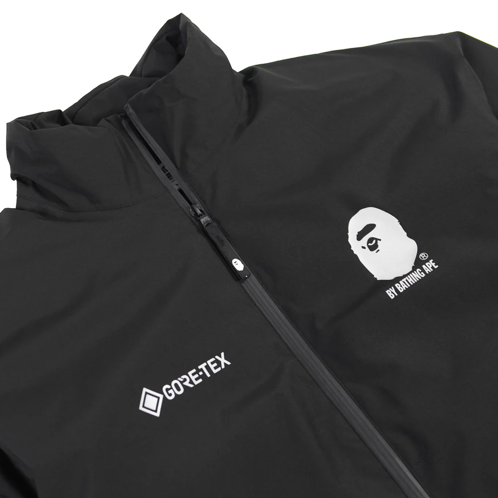 Gore-Tex Down Jacket (Black) - Image 2