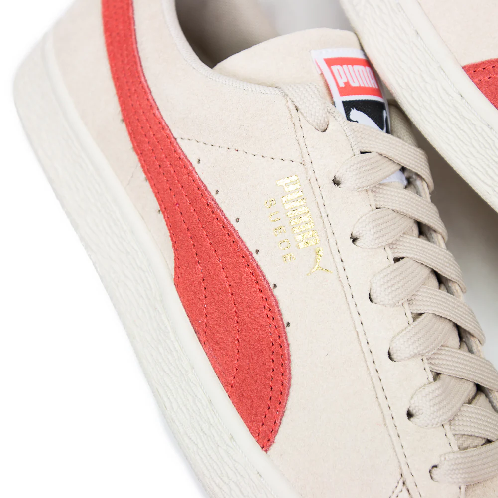 Suede Classic (Cream) - Image 2