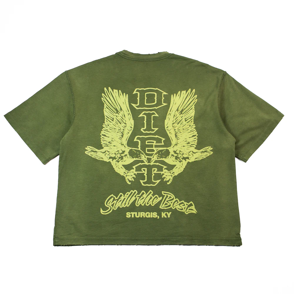 Winged Eagle Tee (Washed Olive) - Image 2